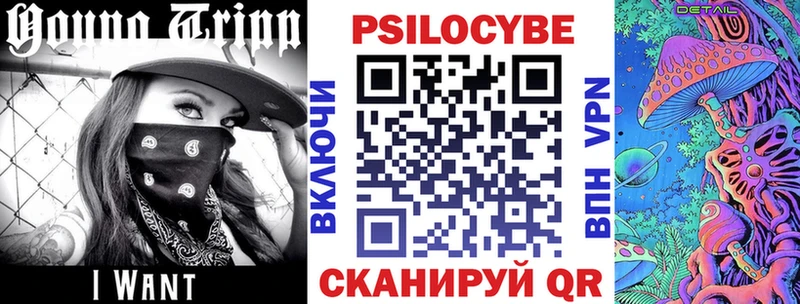 даркнет сайт  Тайга  Псилоцибиновые грибы ЛСД 